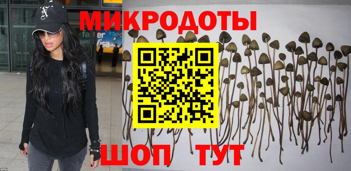 Галлюциногенные грибы Cubensis  Псилоцибиновые грибы MAGIC MUSHROOMS  Грозный  Вход с VPN 
